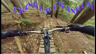 CRINKUM CRANKUM | MT. FROMME | INTENSE TAZER MX PRO ALLOY