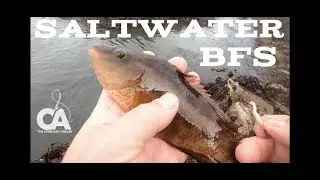 Рыбалка в солёной воде (BFS-стиль Bait Finesse) &ndash; лёгкая каменистая рыбалка