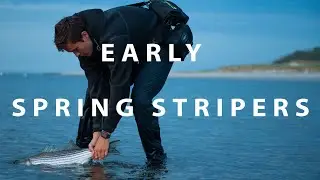 Catch Early Spring Stripers Like a Pro - Beginner Guide #angling #stripedbass #fishing