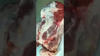 Boning front quarter Fresh Beef | Halal Meat shop Hong Kong| #Shorts