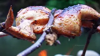 Grilled Whole Chicken Over Campfire | Outdoor Cooking Adventure