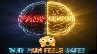 &lsquo;Why Pain Feels Safe ? #video #trending #viral #USA @MrBeast 