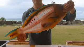 Filleting And Cooking A Big Parrotfish