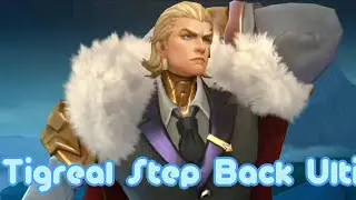 FAKE BACK NI TIGREAL BASEX STYLE