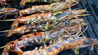 Jerk Prawns