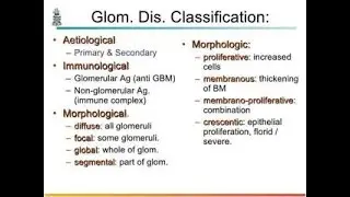 Classification of Glomerulonephritis ; Primary, Secondary, Hereditary Glomerulonephritis
