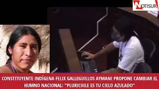 Plurichile es tu cielo azulado: Constituyente ind&iacute;gena propone cambiar el Hinmo Nacional