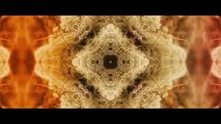 Epifolium - Otak