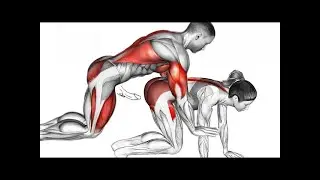 If you want real strength and control… do this exercise 💪