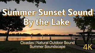 Midwest Sunset Outdoor Sound in Real Time | Unedited Nature Sounds for Meditation, Sleep & Focus
