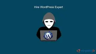 Hire WordPress Developer From HireWPGeeks