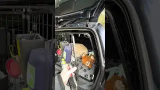 Hundbur Jeppeburen Volvo Xc70 2008-2016 #jeppehundbur #jeppe #hundburibil #bilhundbur #hundburförbil