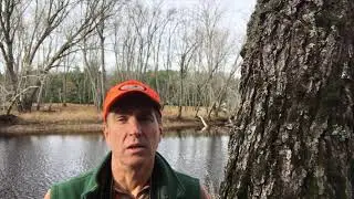 *SOLD* Riverfront Lot For Sale In Mattawamkeag, Maine