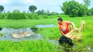 Unbelievable Net Fishing Skill - Best Net Fishing Video - Amazing Net Fishing