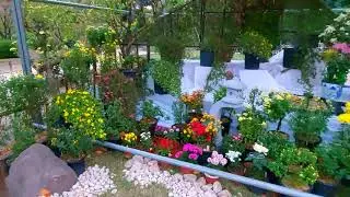 Colorful Flowers in Shukkein Garden