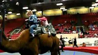 Cordy riding a Camel @ the Shrine Circus