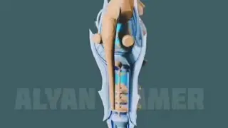 CODM legendary flashbang gameplay
