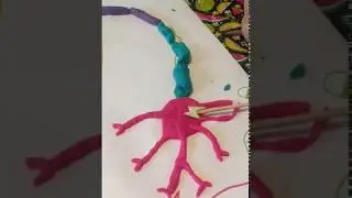 Neuronal Communication by Maud, Zoe and Elouan