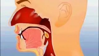 Mechanical digestion