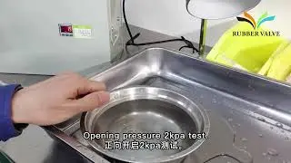 What tests have we done for Diaphragm Valve? #Custom #100% inspection #Medical #valve