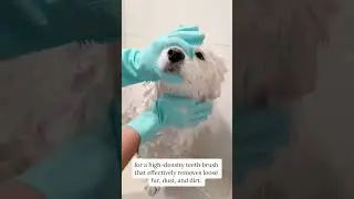 Eilin Pet Grooming Gloves