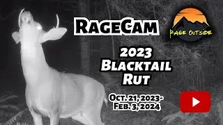 RAGECAM TRAIL CAMERA REEL 2023 BLACKTAIL DEER RUT + BEARS AND COUGARS. Oct. 21, 2023 - Feb. 3, 2024