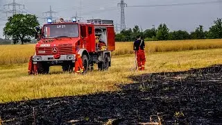 [FLÄCHEN- & WALDBRAND] 10.000 M² IN FLAMMEN | FEUERWEHR im DAUEREINSATZ