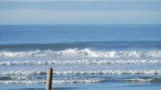 ORCAS OUT BACK!! Surfers + Beach Goers on Vancouver Island Totally Oblivious 🤪😂