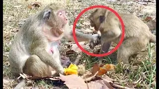Sweet pea spoil baby always get a bite from Popeye mother cos of her character