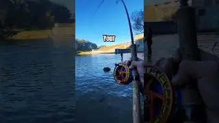 Steelhead or Salmon #steelhead #centerpin #floatfishing