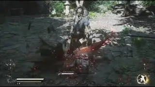Black Myth: Wukong Beetle Commander See Through Training