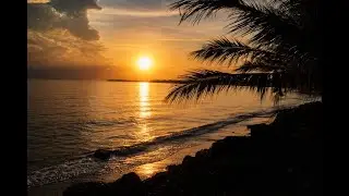 The Hidden Power of OCEAN WAVES for Relaxation