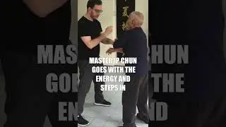Ip Chun Chi Sau Breakdown
