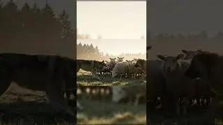 He Protected the Farm Alone &mdash; One Dog Against the Wild! 🐶🌾 | Real Courage in 4K