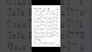 小雨 D 譜伴