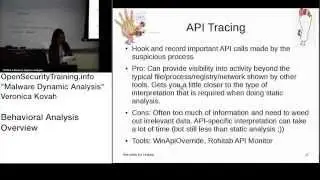 Dynamic Malware Analysis D1P13 Behavioral Analysis Overview