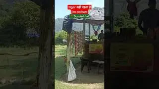 Tiger की Territory | Shah Villa Jim Corbett |  Sunderkhal Village | Mohan Jim Corbett