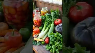 Unveiling the Essentials of Lacto-Fermentation