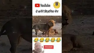 #comedy #funny #facts #lion #animals #animalworld #wildlife #jatttyres #automobile #memes