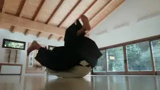 AIKIDO 5 PARTE  cadute frontali e approccio alle cadute laterali