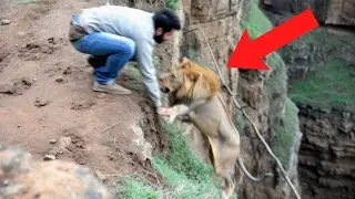 Random Acts Of Kindness That Will Warm Your Heart!