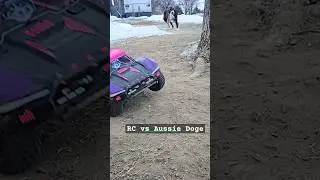 RC vs Aussie #arrma #rc #aussiesdoingthings #arrmafury #arrma223s #sct #backyardrctrack #rcdog #slmo