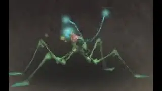 Battle Safari: Elusive Skimmer Battle Pet, Nazmir, WoW Retail