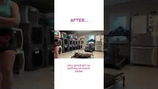 Watch the Exact Moment the Training Clicked! #PlaceCommand #DogTransformation #BeforeAndAfter