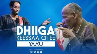 🛑 Тромбы | Удивительные чудеса | Шины пророка Месерета | ARARA TV WORLDWIDE