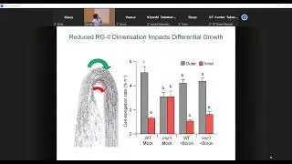 Molecular mechanism of apical hook development