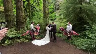 Beth and Matt&rsquo;s wedding!  Sweet Creek Trail in Mapleton OR 10/4/25