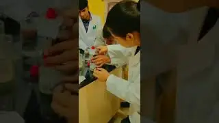 Limit Test of Arsenic in Gutzeit Apparatus #pharmaceuticalanalysis #pharmacystudents