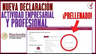 Guía Rápida Nueva Declaración Actividad Empresarial, Profesional