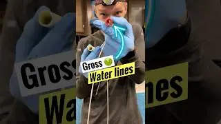 Here&rsquo;s Your Reminder | Sanitize RV Waterlines